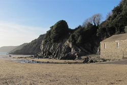 Caswell